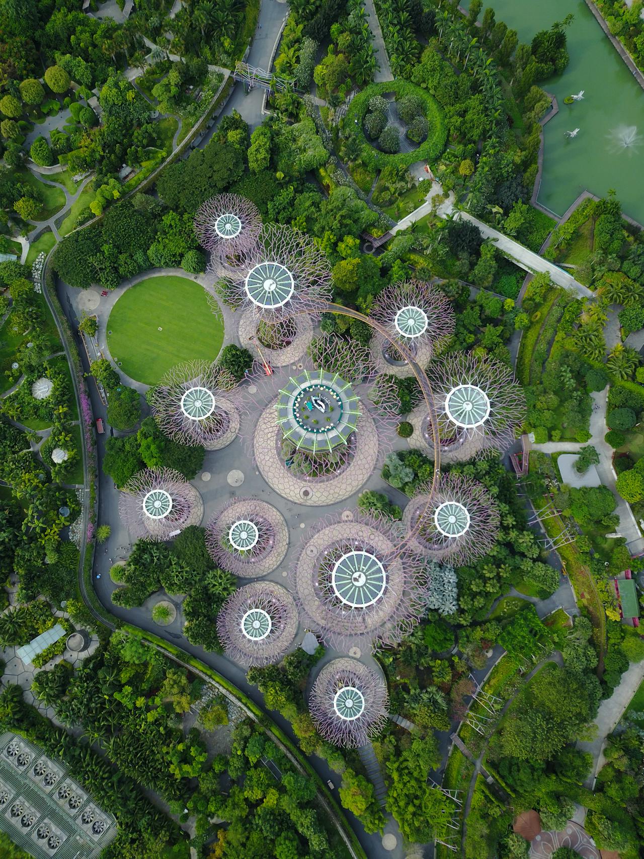 Commercial courtyard landscape design by Ghexghak in Sydney CBD